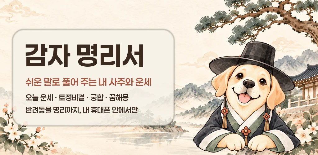 감자 명리서